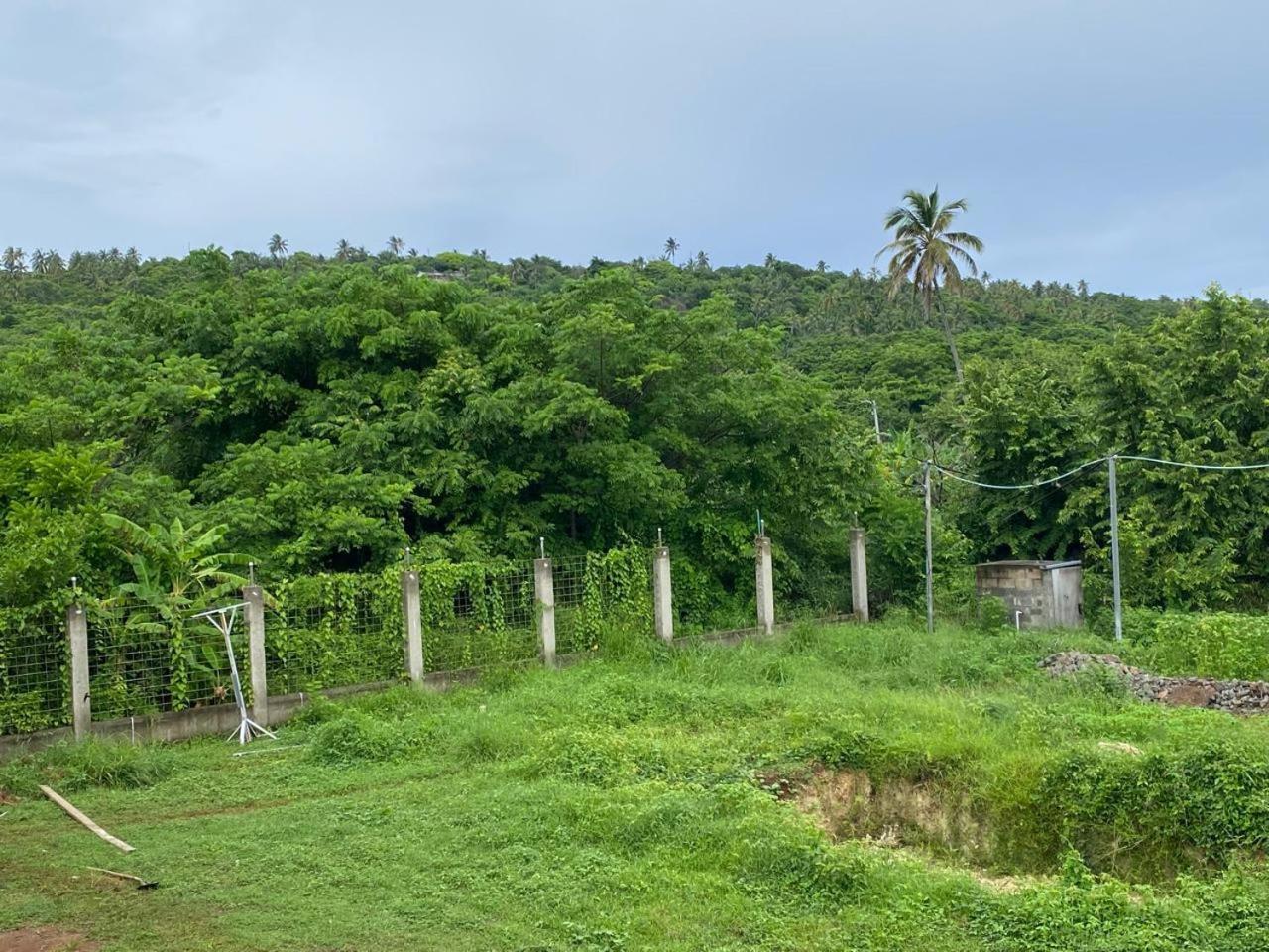 Savannah * San Andres (San Andres and Providencia Islands)